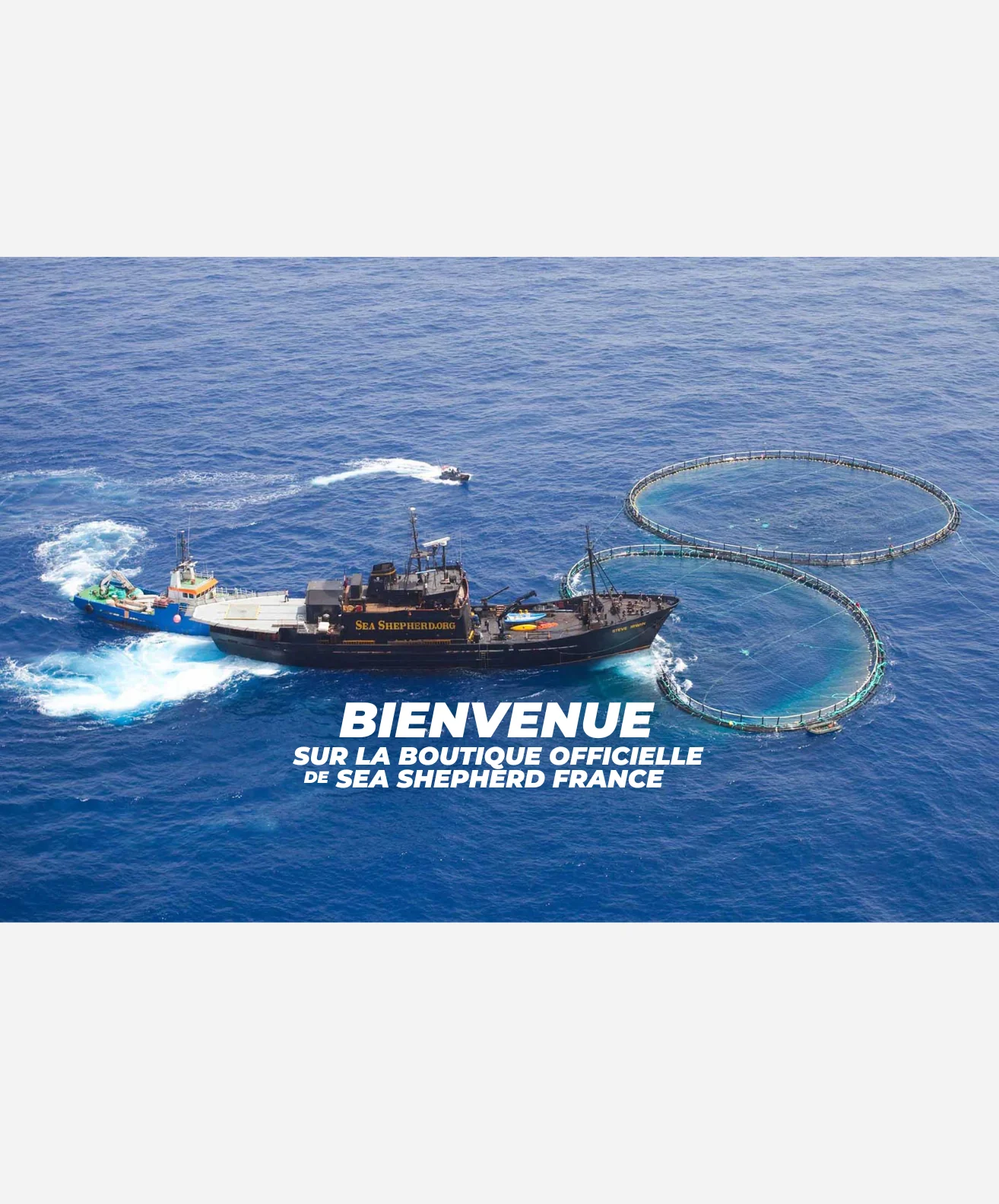 Portez le combat pour l'Océan